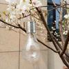 Hot Portable Solar Powered LED String Light Bulbs Hanging Lanterns For Outdoor Garden Camping Tent Yard Decor Lamp IP65 Multi