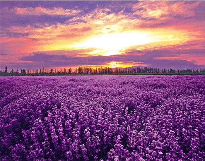 RUOPOTY Painting By Number Lavender Landscape Handpainted Unique Gift Picture Coloring By Numbers Balloon Children's Room Decor