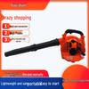 EB260A Handheld Gasoline Two-Stroke Blower for Dust, Leaves, Pebbles, and Fire Prevention