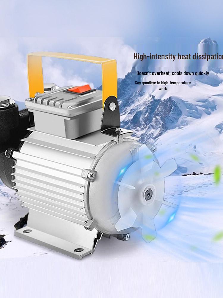 High-Power Diesel Electric Self-Priming Oil Transfer Pump, 12V/24V/220V, 550W Vehicle-Mounted Fuel Dispenser
