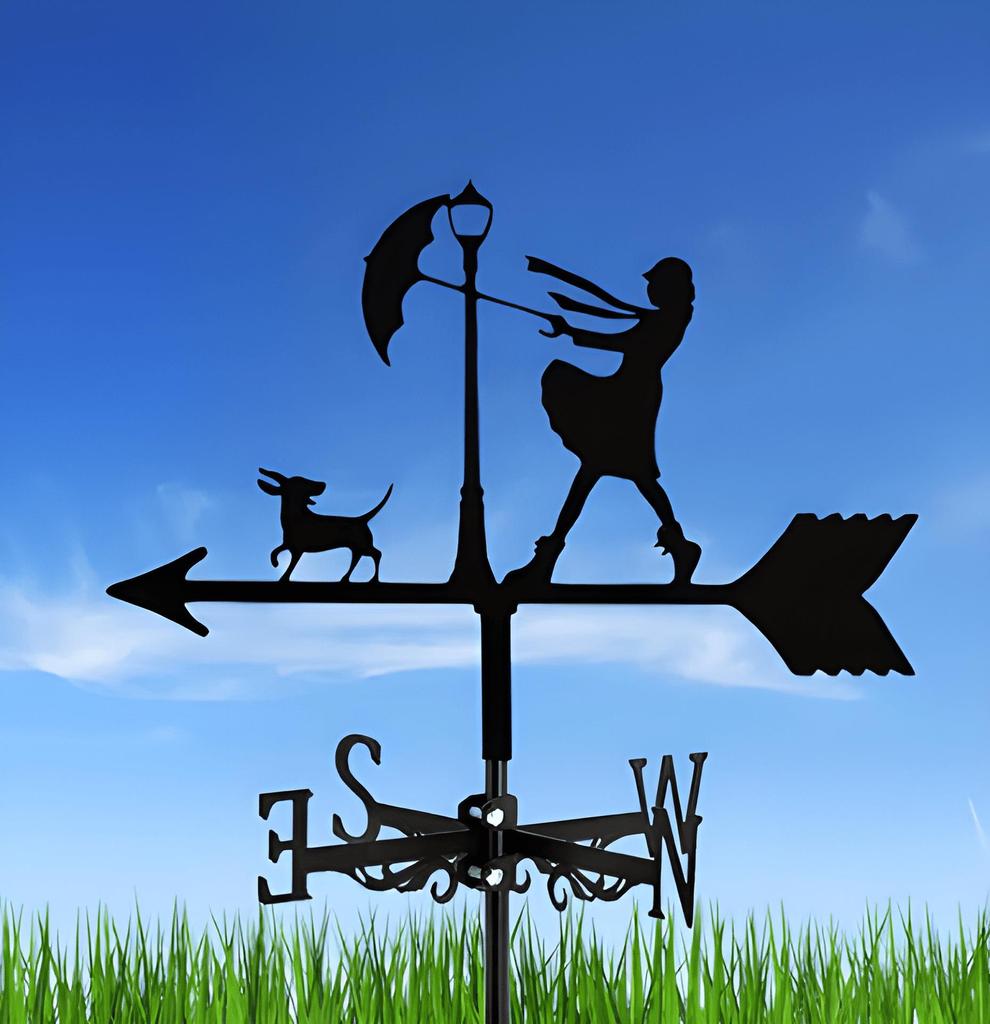 Decorative Iron Weather Vane - Outdoor Metal Roof Ornament