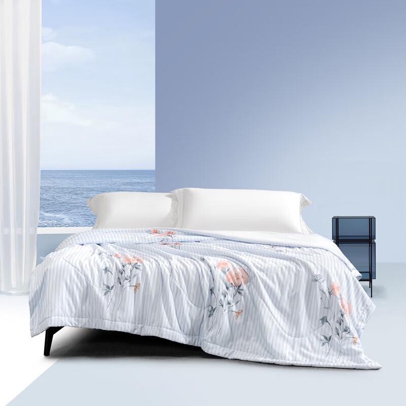 

Mercury Home Summer Antibacterial Cooling Quilt