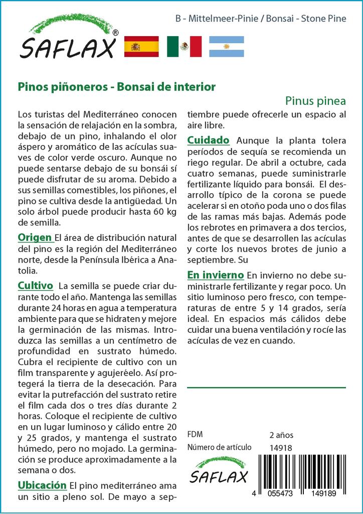 SAFLAX Garden In the Bag - Bonsai - Stone Pine - 6 Seeds - With Substrate In a Fitting Stand Up Bag - Pinus Pinea