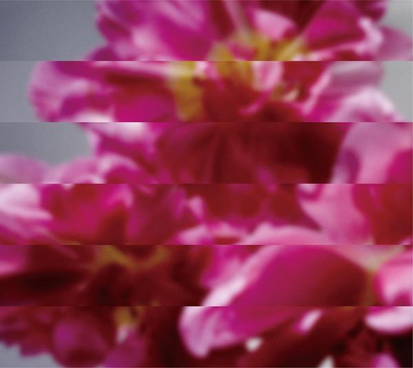 

CD MONDO GROSSO Reborn again and many times CTCR40388 Cutting Edge 2017 Japan Dance Electronica