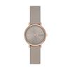 Skagen Signatur Lille SKW3060 Damenuhr, Grau