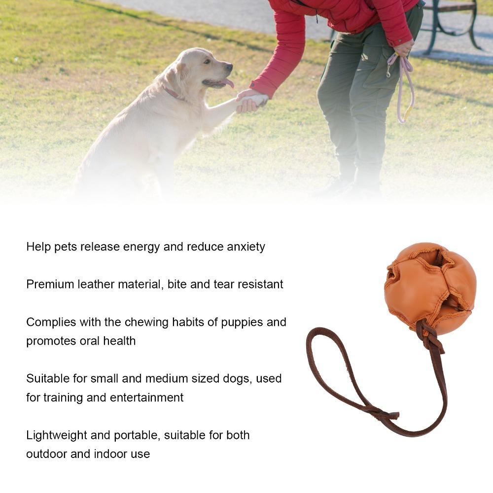 Leather Dog Training Ball Solid Texture Pet Bite Toy Safe Dog Chew Stick  Outdoor Interactive Play