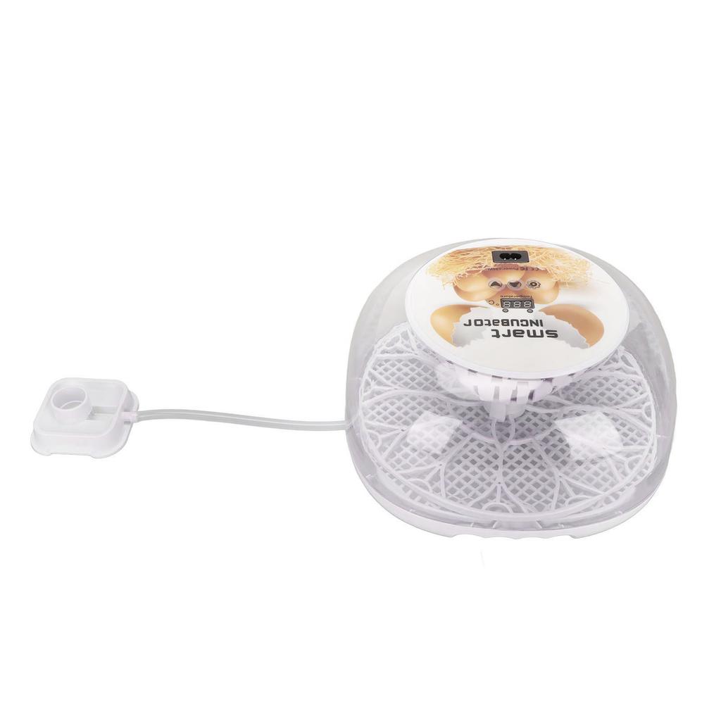 Egg Incubator Mini Automatic 12 Egg Hatcher with Fully Transparent Insulation Cover for Hatching