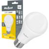 LED Lamp Bulb A60 12W E27 6500K 230V Rebel