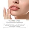 Plumping Lip Oil  Exquisite Portable Lip Balm Moisturizing Lip Balm Lip Care Lip Oil For Women  4ml