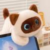20/40cm Große Augen Katze Plüschtier Haustier Kätzchen Plüschpuppe Hohe Qualität Exquisite Katze Weiches Bequemes Kissen Geburtstagsgeschenk