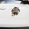 2pcs 13x13cm Tiger Waterproof Vinyl Car Decal Window Bumper Exterior Decoration Accessories Scratch Resistant Sticker | #JP42