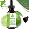 Pure Herbs FIIPE Silver Needle (Abies Alba) Pure & Natural Therapeutic Grade Essential Oil Plastic with Dropper