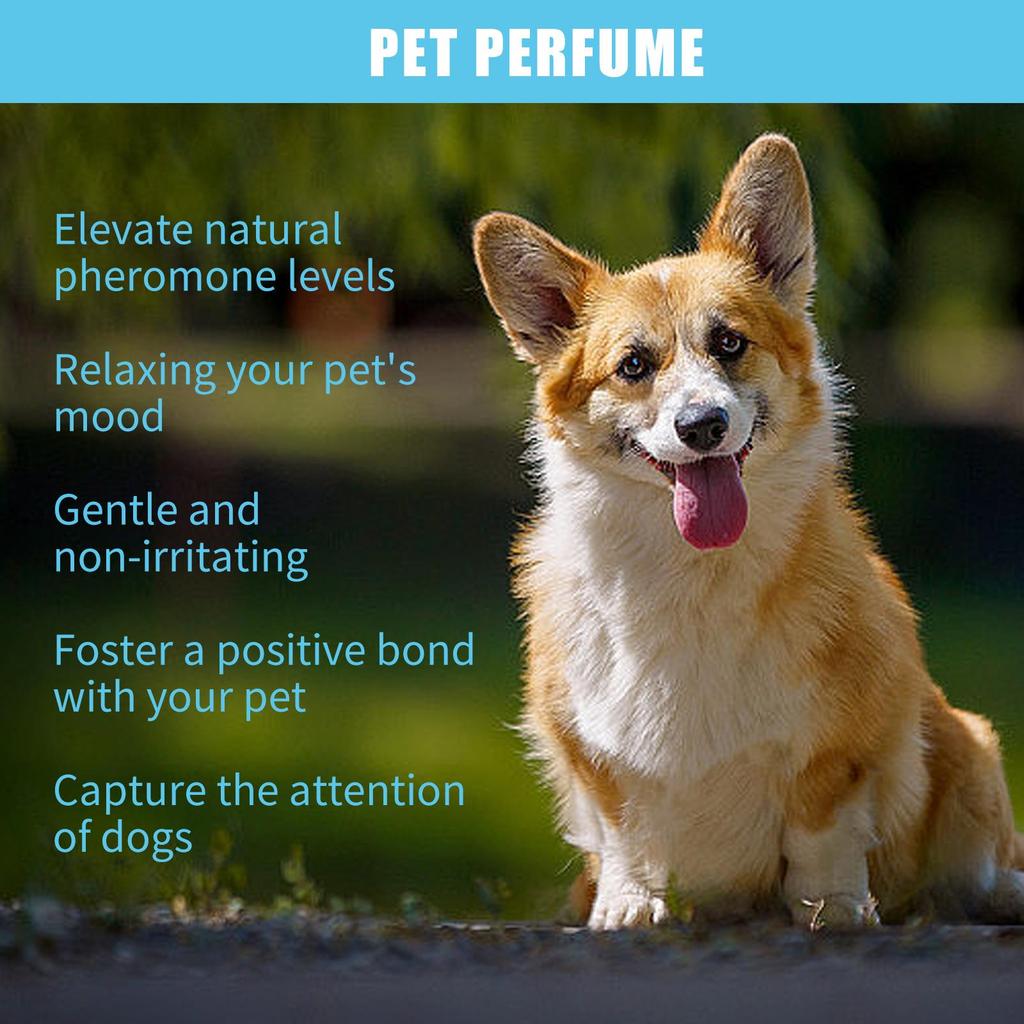 Pet Perfume 100ml: Long-lasting Deodorizing Spray for Cats & Dogs in Elegant Glass Bottle
