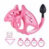 Male Succubus Board Sissy Chastity Cage Front Lock with Rear Anal Plug Genital Restraint Wearable Chastity Pants Sex Toy for Men