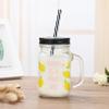Summer Fruit Creative Mason Jar Cold Drink Glass Cup Juice Beverage Cup with Lid 500ml