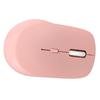 Wireless Mouse RGB Running Light Stylish Universal Dual Modes Type C Rechargeable Bluetooth Mouse