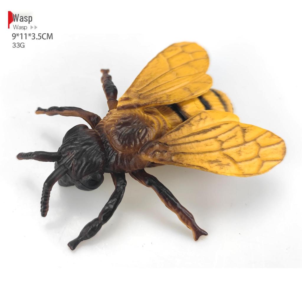 Children's Cognitive Teaching Toys: Insect Models - Butterfly, Ladybug, Rhinoceros Beetle, Bee, Grasshopper