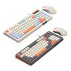 98 Key Layout RAIKU T98 Keyboard RGB Lighting Wired Keyboard New Keyboard Mouse Set  Game