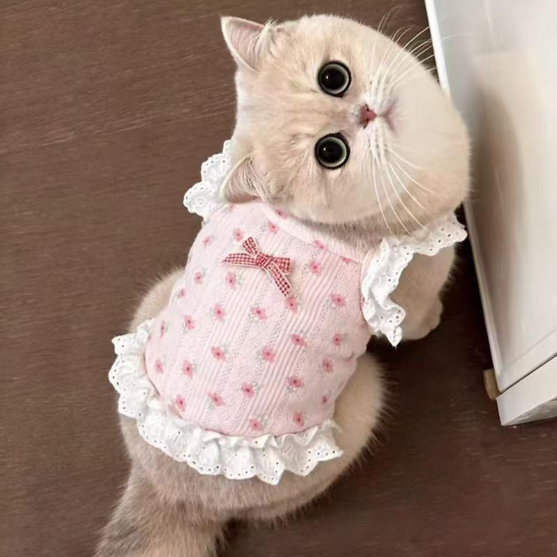 Spring, summer and autumn new floral lace suspender short vest princess dress Pomeranian bear dog cat pet clothes