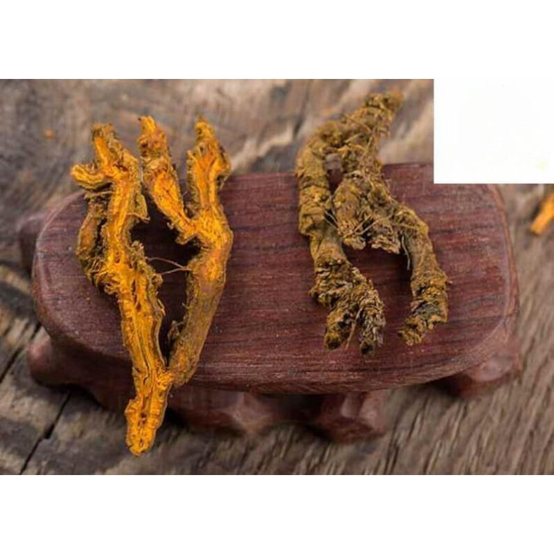 Высокое качество Huang Lian/Rhizoma Coptidis Goldthread сушеное — фото 3