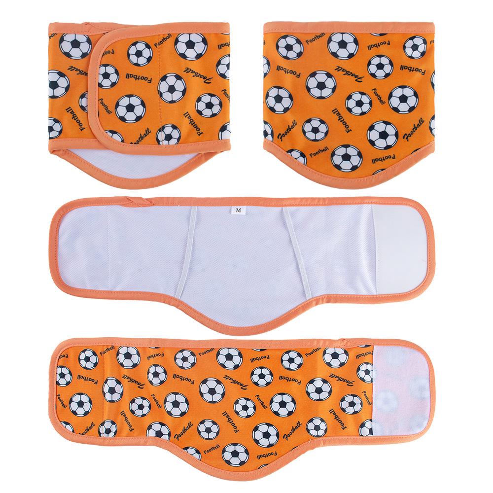 Washable Male Dog Diaper Pants & Anti-Harassment Belt