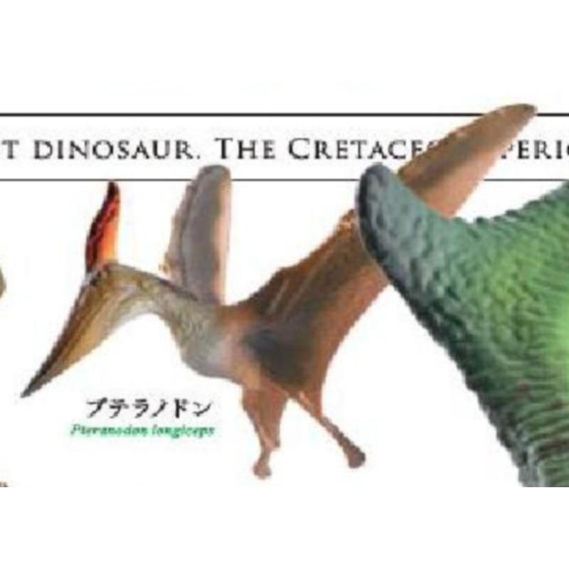 

Japan Dinosaur Skeleton Figure Gashapon White Cretaceous Strongest 3D Collectible Decor Action Figure Model Toys