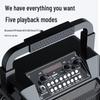Newmine K99 Portable Karaoke Bluetooth Speaker CN plug (adapter included)