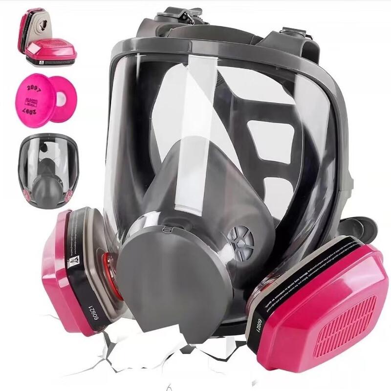 DAXTE Full Face Respirator Mask