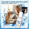 Cães – Cuidados de cães