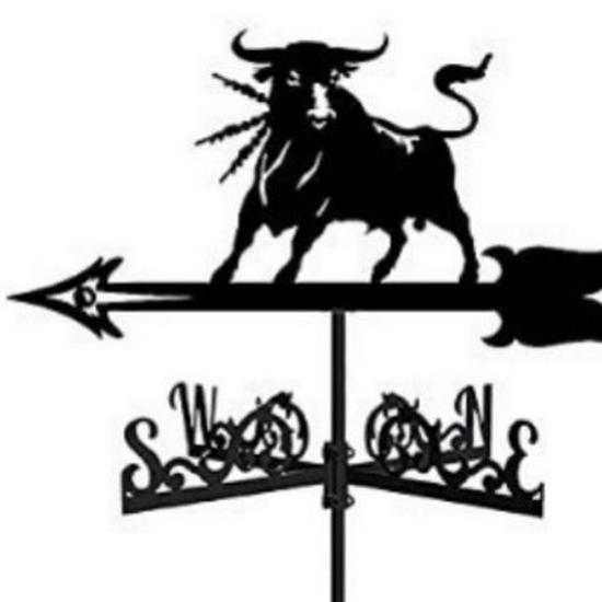 Wetterfahnen-Ornament aus Edelstahl für den Außenhof