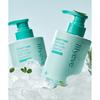 Lilyeve Scalfton Cica Pdrn Deep Clean Cooling Shampoo 500ml 2