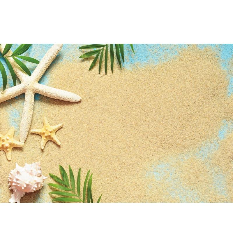 Decorazione Sfondo Spiaggia Tropicale Conchiglia Stella Marina Vacanza Estiva Per Festa in Piscina Sfondi Per Fotografie