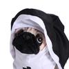 Cat Puppy Pet Cat Halloween Costumes Soft Cat Cosplay Costume Sets Pet Nun Cloak  Ghost Festival