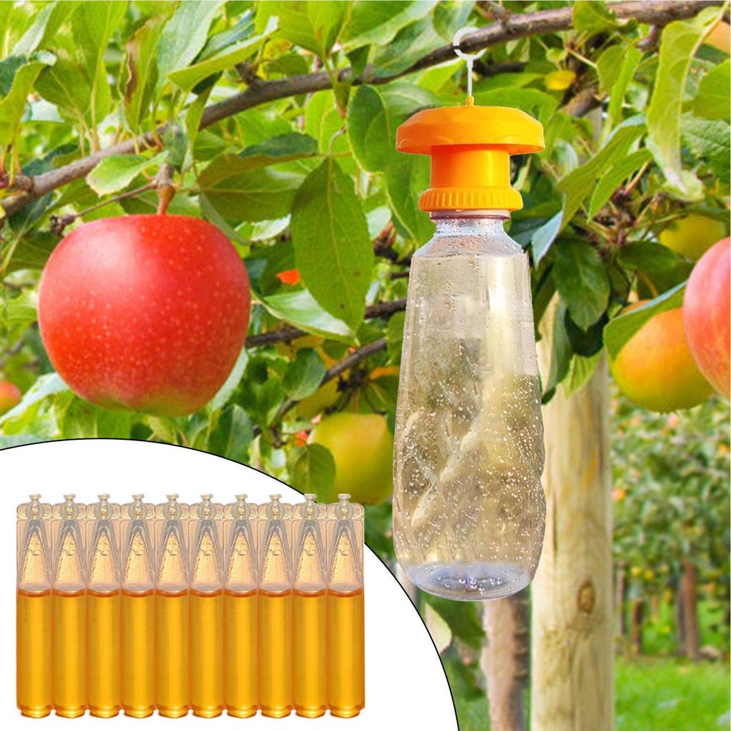 Fruitfly Trap Fruit Fly Liquid Lure 10 Pieces Long Lasting Baits Safe Lures For Garden Farm Patio Protection Dining Area Orchard