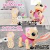 ROBOT PLAZA Robot Kitten Kids Toy, Educational Toy, Pet, Birthday Gift for Girls