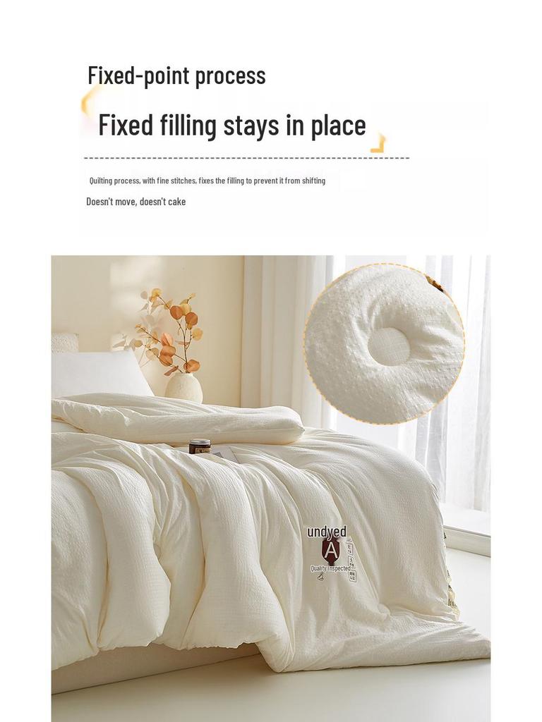 Thickened Soybean Fiber Quilt: All-Season Warm Cotton Bedding for Students