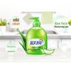 Blue Moon Aloe Vera Antibacterial Hand Wash Set