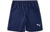Casual Shorts Men's Blue Moderate 704942-06