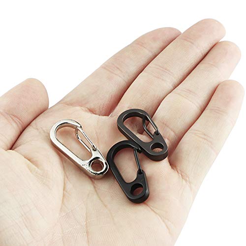 TEMLUM Carabiner, Small Mini Carabiner, Set of 10, Snap Hook,