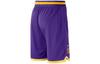 Nike Basketball Shorts Men's Purple