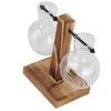 Innovative Planter Vase with Wooden Stand Transparent Glass Hydroponics Vase Desktop DecorationType