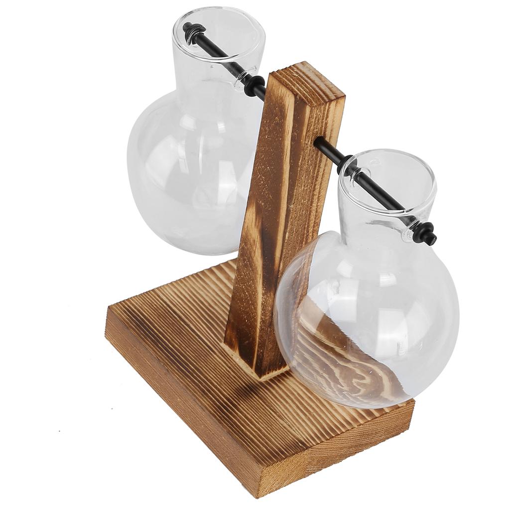 Innovative Planter Vase with Wooden Stand Transparent Glass Hydroponics Vase Desktop DecorationType
