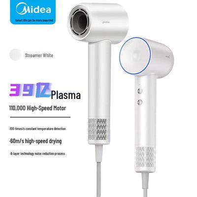 FG208 High-Speed Ionic Hair Dryer