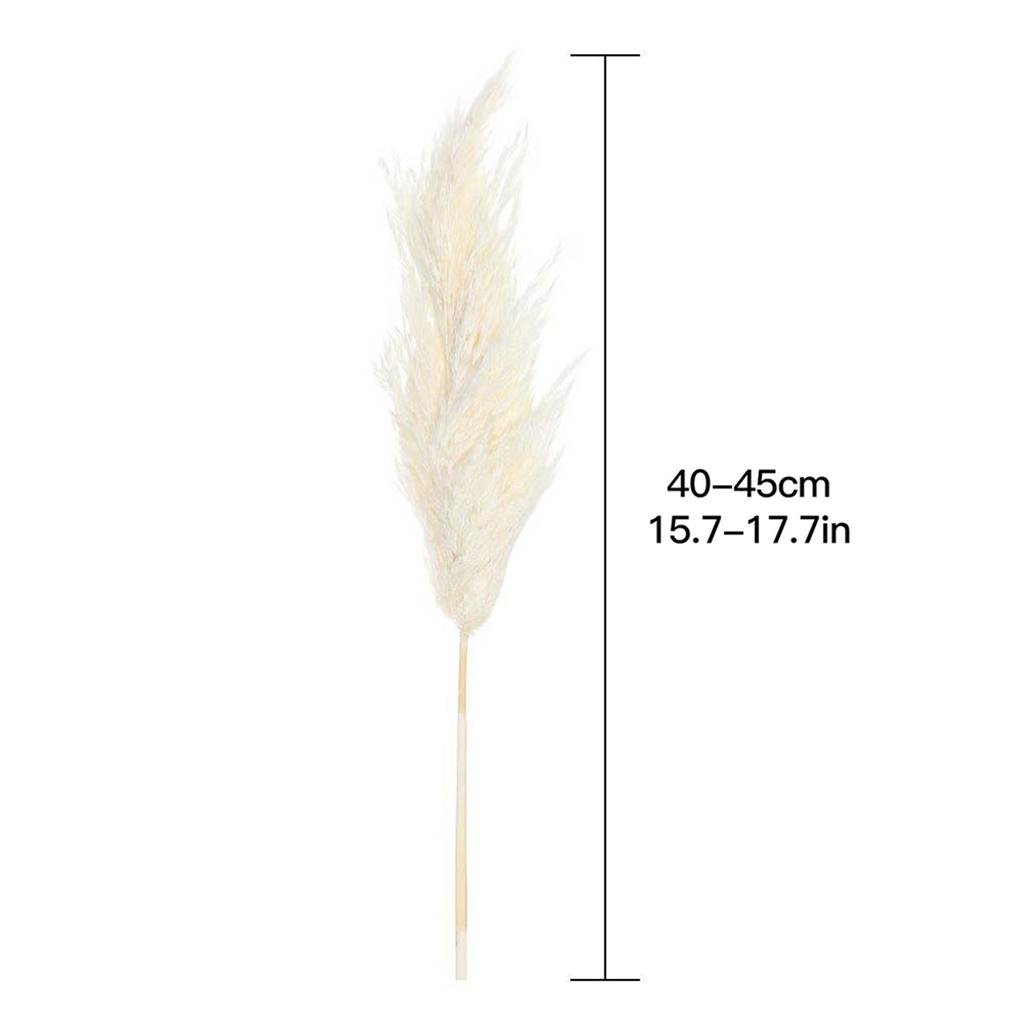 Dried Pampas Grass Natural Pampas Grass Bouquet Large Reed Dried Flowers for Boho Home Decor
