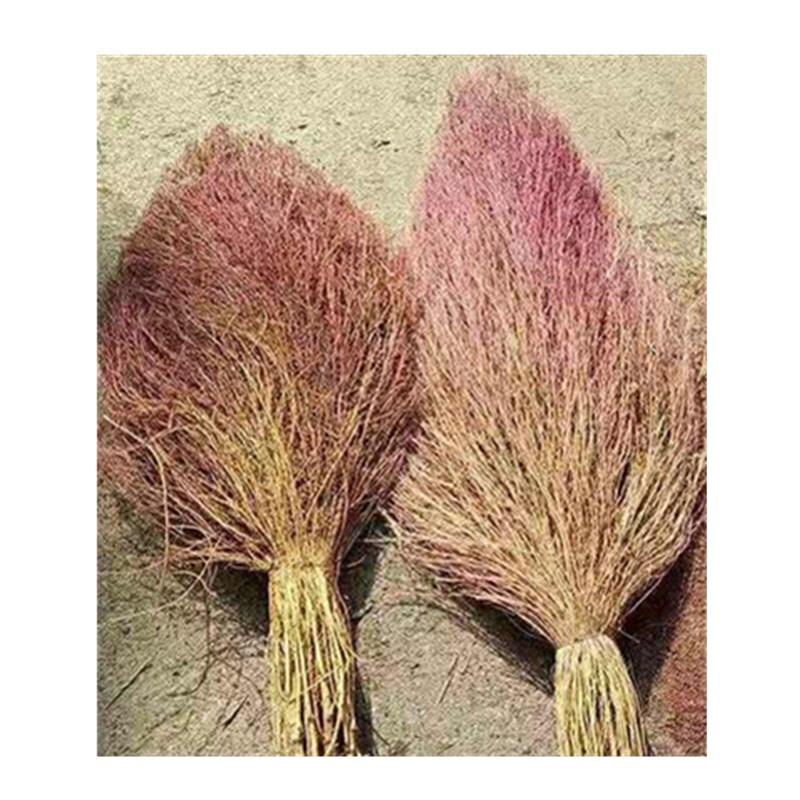 You Shang Living Home Extra-Wide Broom