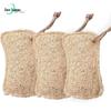 Eco-Friendly Pillow-Shaped Loofah Dish Brush - Biodegradable Kitchen Cleaning Tool