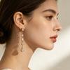 Stainless Steel Zircon Drop Earrings Women Tassel Water Drop Dangle Earrings Elegant Hypoallergenic Party Jewelry Accessories
