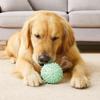 Bite Resistant Dog Teething Stick TPR Dog Chew Toy Dog Toothbrush Toy  Self Amusement