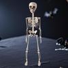 Décoration Squelette d'Halloween Effrayante avec Articulations Articulées pour Maison Hantée Fête à Thème Gothique Décoration de Maison
