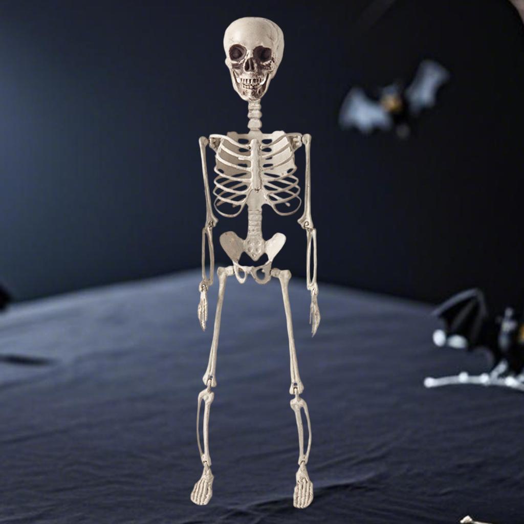 Décoration Squelette d'Halloween Effrayante avec Articulations Articulées pour Maison Hantée Fête à Thème Gothique Décoration de Maison